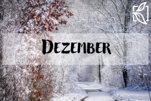 Dezember Jahresabschluss Winter